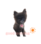 N、KUUCHAN（個別スタンプ：8）