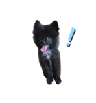 N、KUUCHAN（個別スタンプ：10）