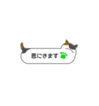 ふきだし型のネコスタンプ 修正版（個別スタンプ：18）