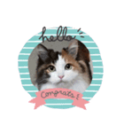 pretty cat and balloon（個別スタンプ：2）