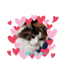 pretty cat and balloon（個別スタンプ：7）