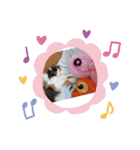 pretty cat and balloon（個別スタンプ：8）