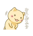 ほんわかネコ〜あいさつ2〜（個別スタンプ：11）