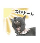 サリー☆すたんぷ（個別スタンプ：1）