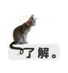 サリー☆すたんぷ（個別スタンプ：4）