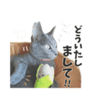 サリー☆すたんぷ（個別スタンプ：7）