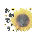 サリー☆すたんぷ（個別スタンプ：11）