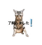 ジヨンくん（個別スタンプ：5）