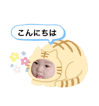 涼斗くんスタンプ。（個別スタンプ：11）