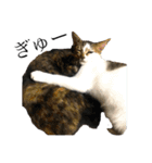 おこげとこはくのきもち。（個別スタンプ：4）