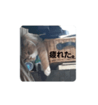 ぽろんの毎日（個別スタンプ：2）