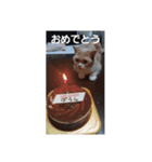 ぽろんの毎日（個別スタンプ：6）