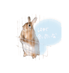 まめちゃんのスタンプ集（個別スタンプ：10）