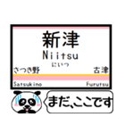 信越本線(新潟-茨目) 今まだこの駅です！（個別スタンプ：6）