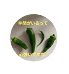 オクラとシシトウの気持ち（個別スタンプ：6）