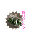 オクラとシシトウの気持ち（個別スタンプ：8）