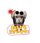 むっくくんとおひめちゃん（個別スタンプ：2）