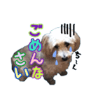 むっくくんとおひめちゃん（個別スタンプ：3）