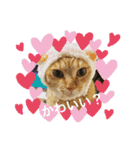 そうちゃんパック（個別スタンプ：2）