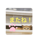 そうちゃんパック（個別スタンプ：3）