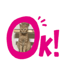 そうちゃんパック（個別スタンプ：5）