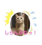 そうちゃんパック（個別スタンプ：9）