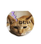 そうちゃんパック（個別スタンプ：10）