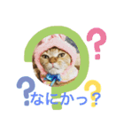 そうちゃんパック（個別スタンプ：11）