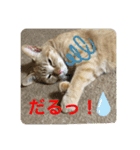 そうちゃんパック（個別スタンプ：14）
