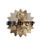 そうちゃんパック（個別スタンプ：16）