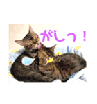 ベンガルレンジャーズのスタンプ 番外編（個別スタンプ：8）