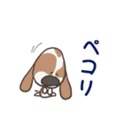 バセットハウンド(犬) 32（個別スタンプ：13）