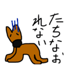 カンガルーのカン太 2（個別スタンプ：14）