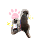 凸凹姉弟（個別スタンプ：3）
