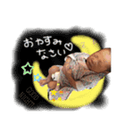 みこちゃんのスタンプ！（個別スタンプ：5）