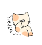ゆるねこさん日常スタンプ（個別スタンプ：15）