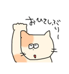 ゆるねこさん日常スタンプ（個別スタンプ：39）