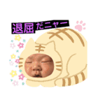 HIMACHYAN（個別スタンプ：10）