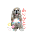 ノエルさんスタンプ（個別スタンプ：4）