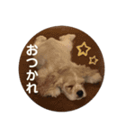 ノエルさんスタンプ（個別スタンプ：9）