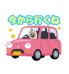 ポメラニアン★だいふく（個別スタンプ：9）