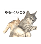 兄弟猫 こたしん②（個別スタンプ：38）
