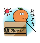 歩けるオレンジ（個別スタンプ：30）