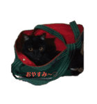mitu☆fam（個別スタンプ：8）
