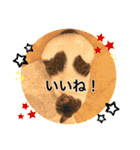 Ohana  猫がいっぱい キラキラバージョン（個別スタンプ：25）