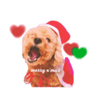 My name is Nana.♡toy poodle（個別スタンプ：7）