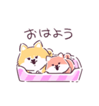 動く 柴犬りんねね（個別スタンプ：20）