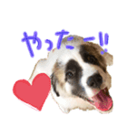 はるともか（個別スタンプ：6）