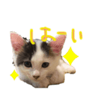 はるともか（個別スタンプ：7）
