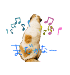 はるともか（個別スタンプ：8）